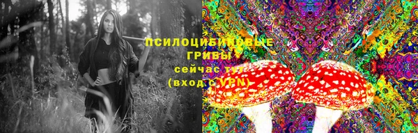 первитин Гусь-Хрустальный