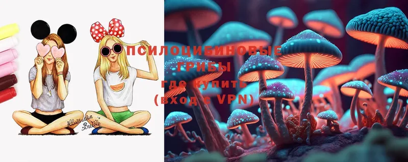 где продают наркотики  Азов  Галлюциногенные грибы Cubensis 